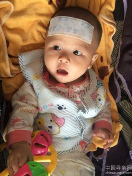 失踪人员：寻王艺，8个月男孩，史玲34岁