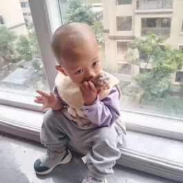 寻亲：子世晏