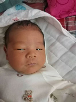 寻亲：魏浩洋